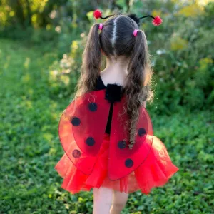 Glitter Ladybug Set