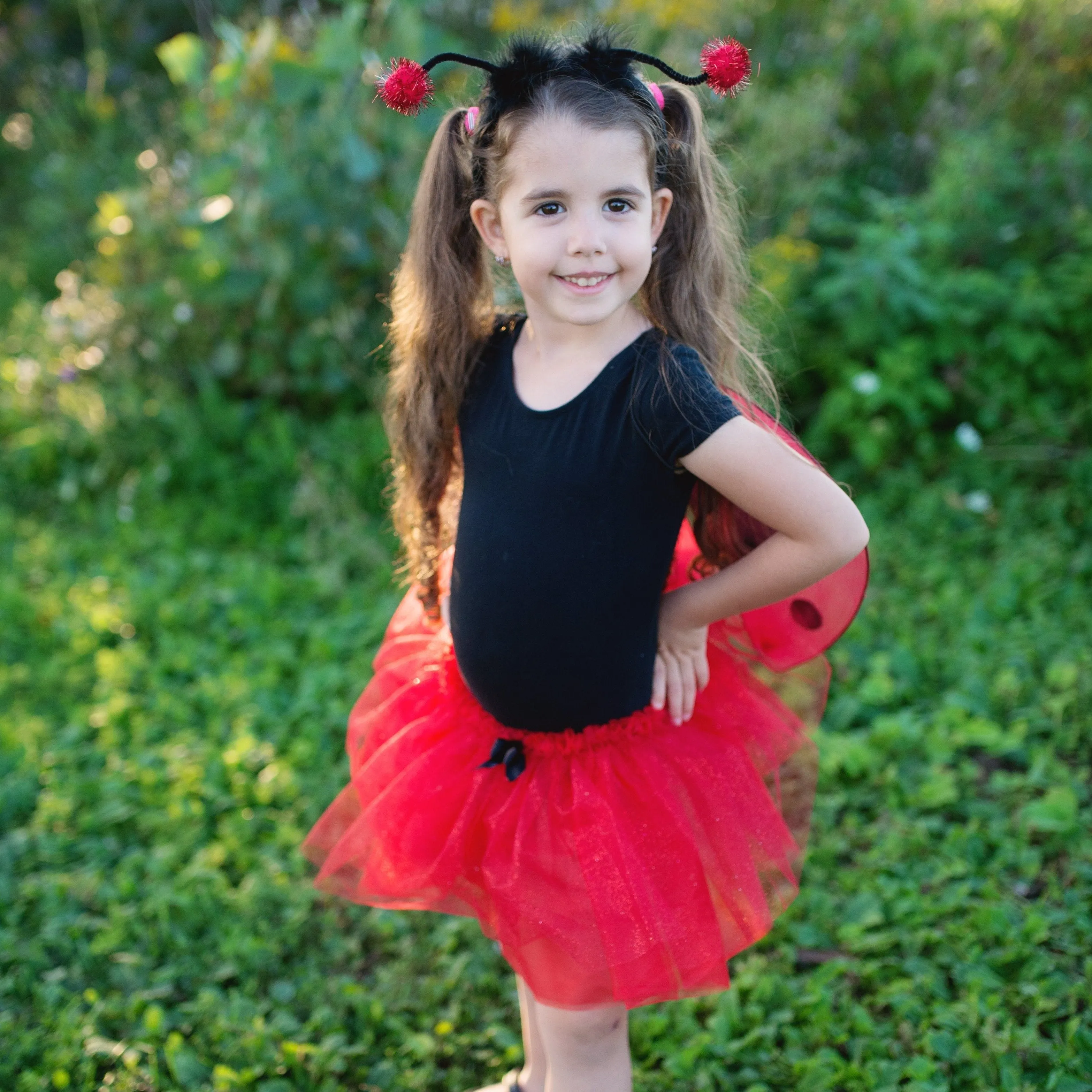 Glitter Ladybug Set