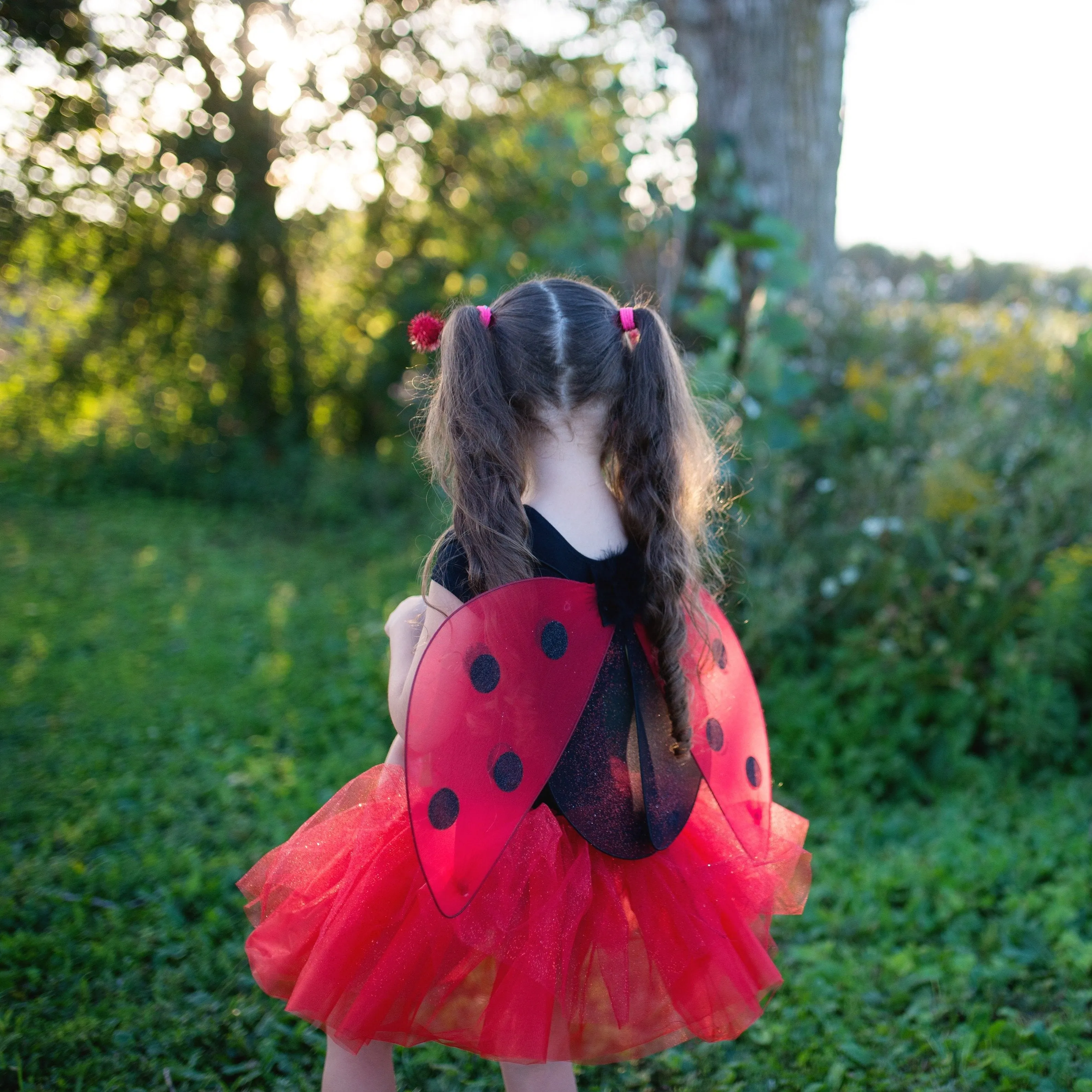 Glitter Ladybug Set