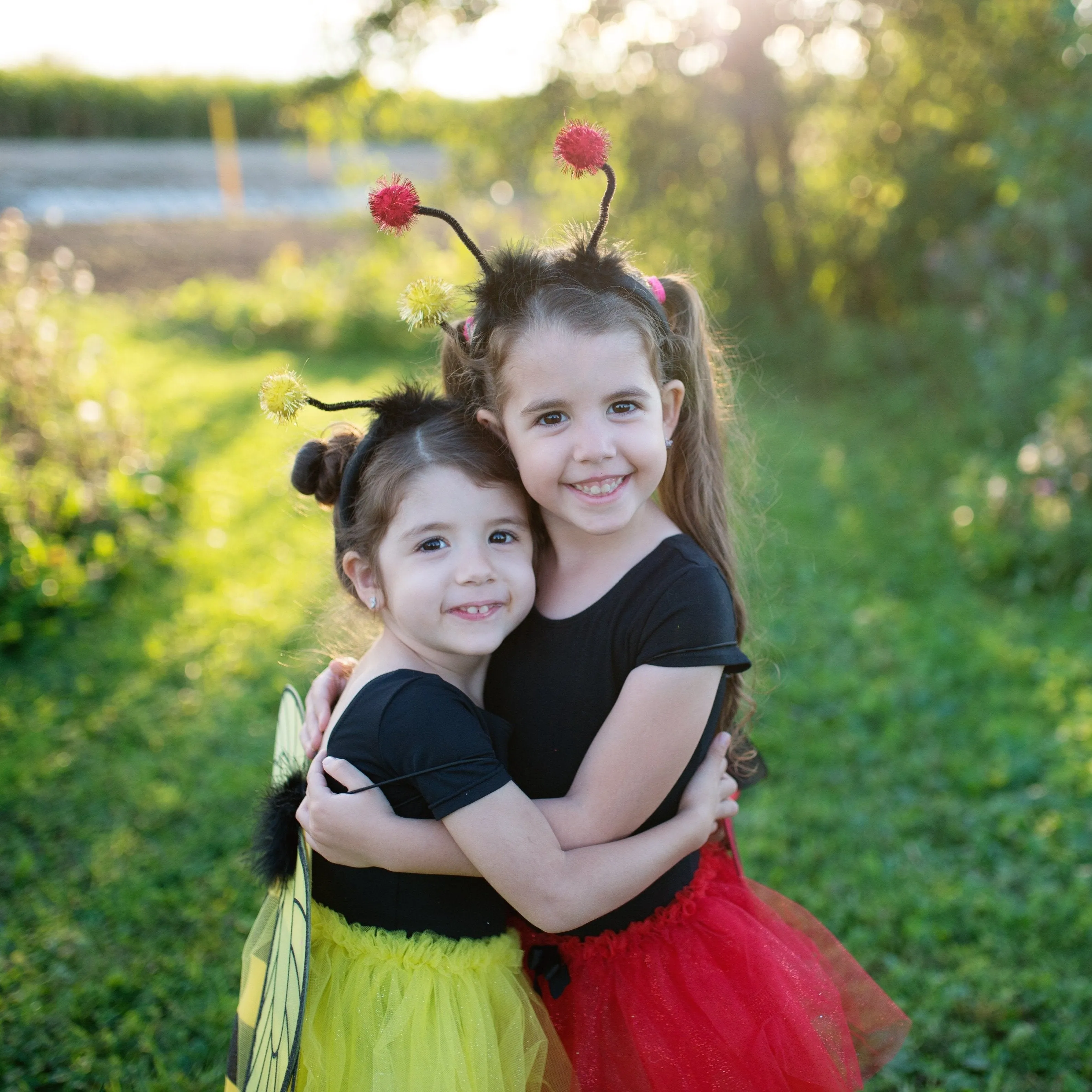 Glitter Ladybug Set