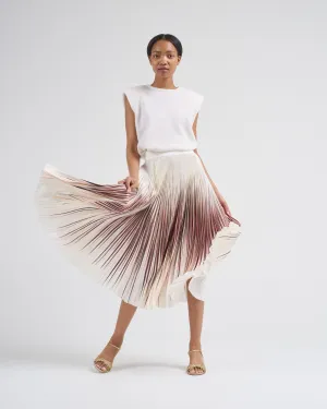 printed pleated skirt